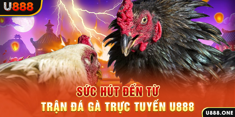 j88 com đá gà trực tiếp c1