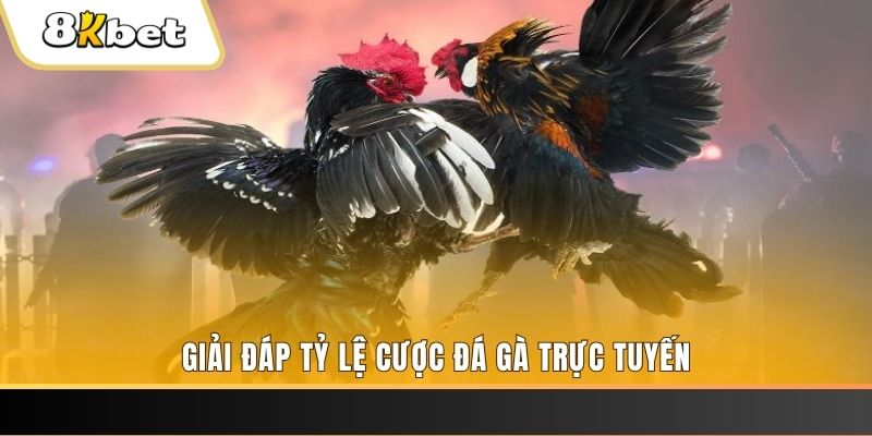 j88 com xổ số đài miền trung