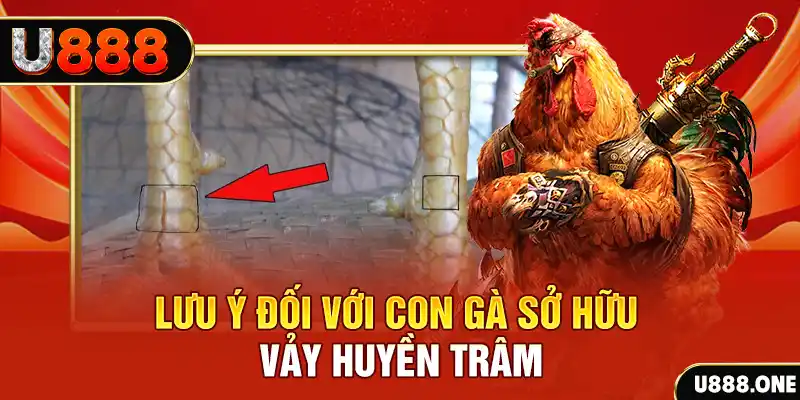j88 com kết quả xổ số miền nam hôm nay