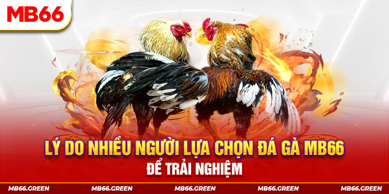 j88 com xổ số miền bắc thứ bảy hàng tuần
