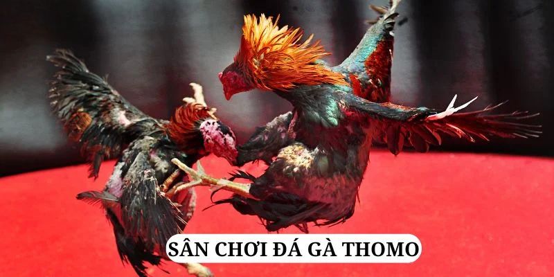 j88 com trực tiếp xổ số miền bắc
